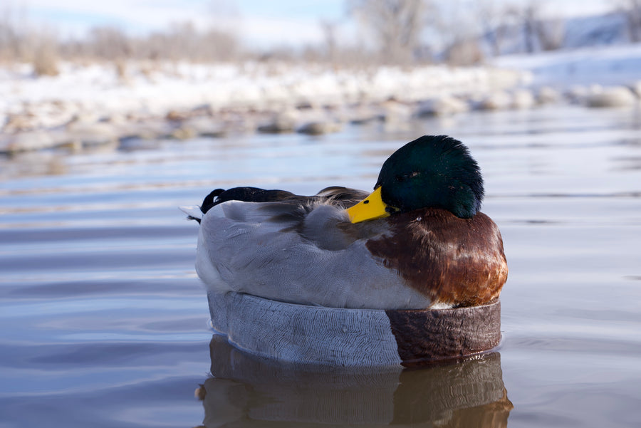 Gallery Boland Decoys