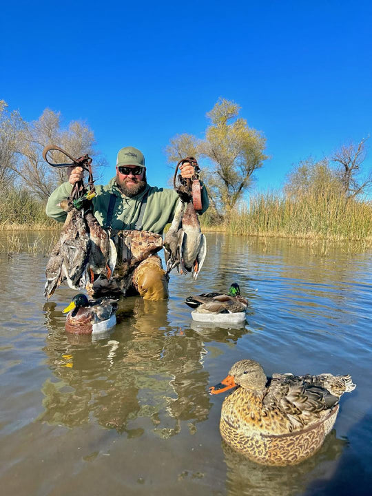 Gallery Boland Decoys