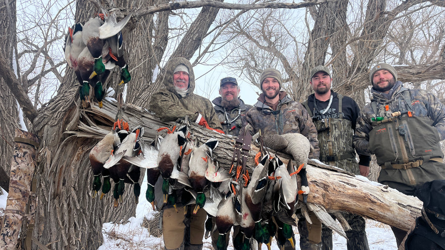 Gallery Boland Decoys