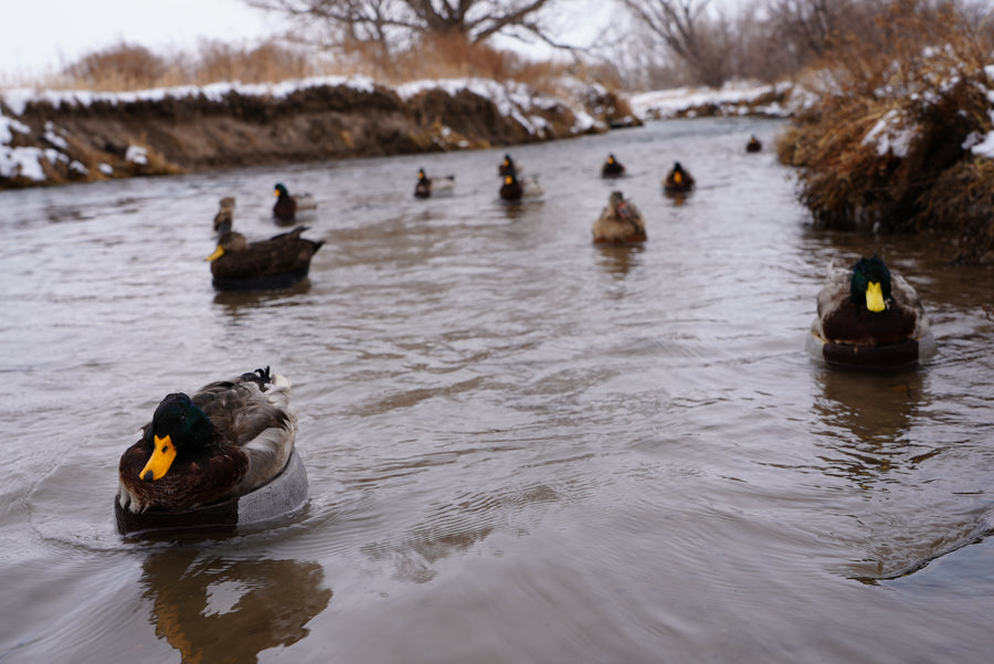 Gallery – Boland Decoys